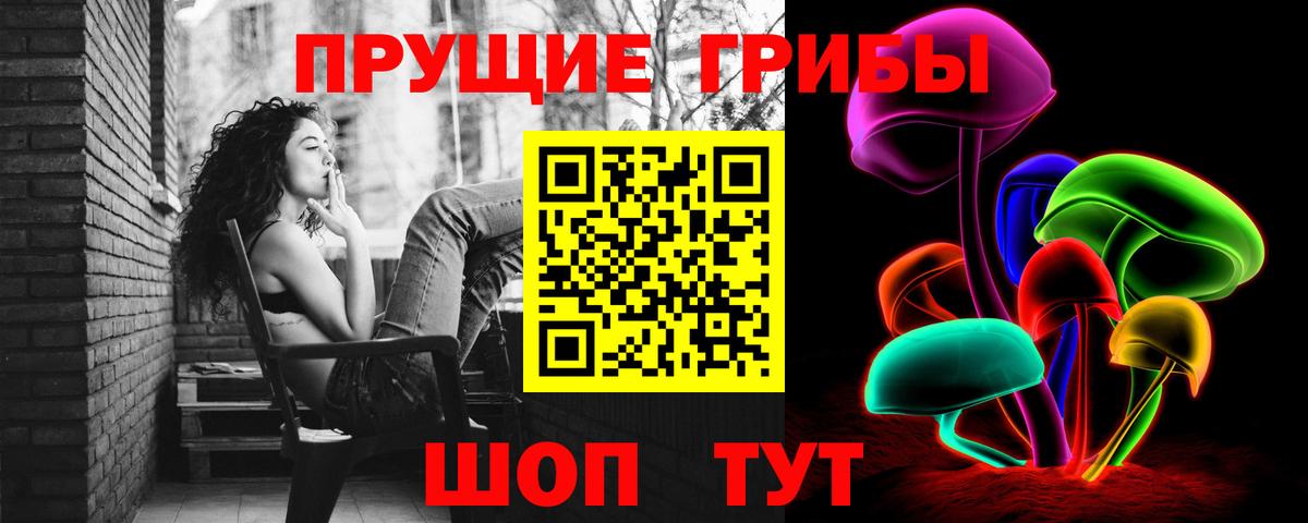 Псилоцибиновые грибы мицелий Урюпинск